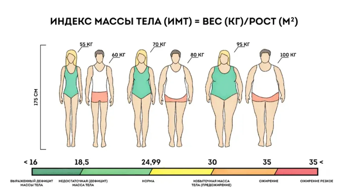 Нормальная масса тела