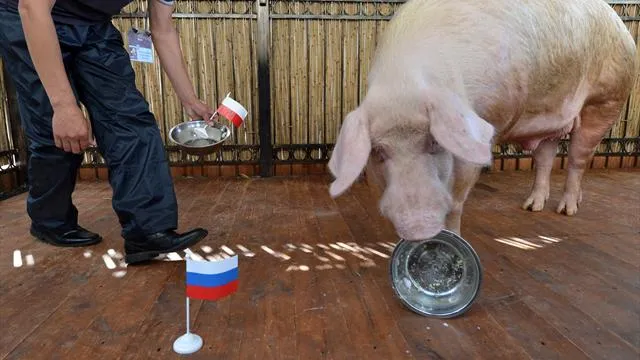Хряк Фунтик
