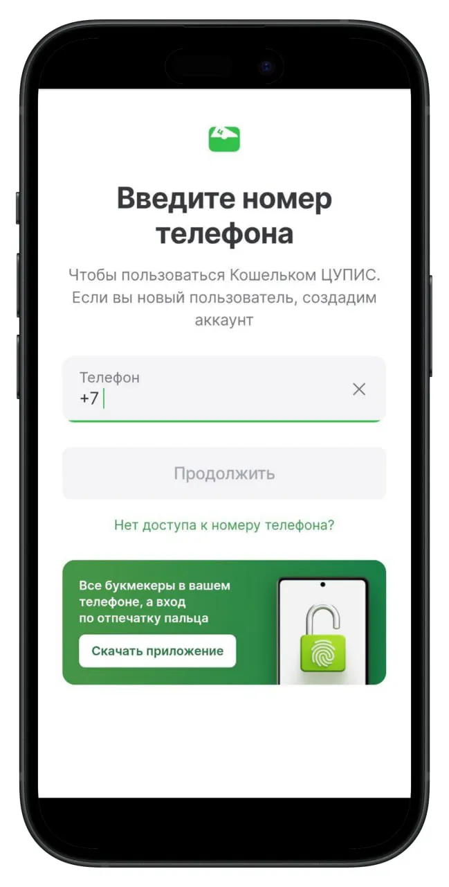 ЦУПИС