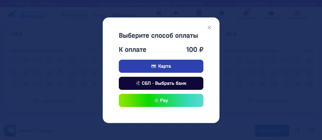 Способы оплаты на сайте «Национальной Лотереи»