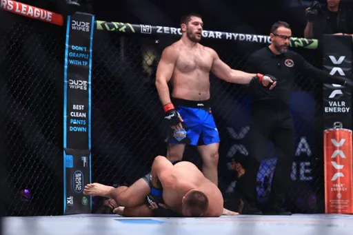 «Может, яичко застряло». Сидельников раскритиковал лигу PFL за решение в бою Молдавского и Романова