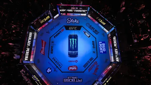 Источник: UFC может вернуться в Россию в 2027 году